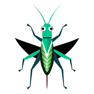 green grasshopper isolated on white