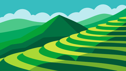 Beautiful Rice Paddy Terrace Carved into a Green Hillside Asian Landscape