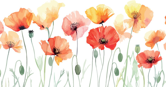 Delicate watercolor poppies in a vibrant orange and red palette on a white background
