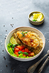 Fried catfish steak with rice and vegetable salad on a gray background vertical photo