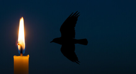 Fototapeta premium Candle flame with silhouette of bird flying in dark background 