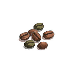 Coffee beans icon logo flat vector design