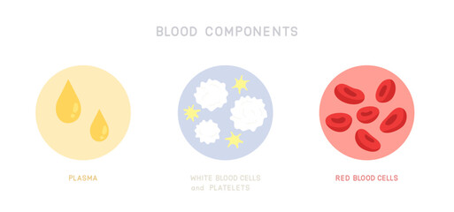 Set of blood components isolated on white background. Plasma, White blood cells and platelets and Red blood cells. Flat vector illustration.