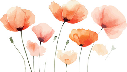 Naklejka premium Delicate watercolor painting of vibrant red and orange flowers on a white background