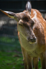 geh mit geschlossenen augen