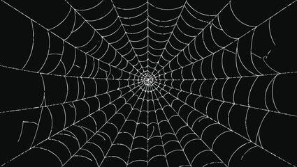 Spider web on black background. Halloween spiderweb. Vector illustration.