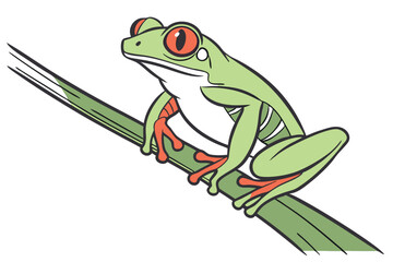 Red Eyed Tree Frog Cartoon Illustration Posing on a Long Green Leaf for a Wildlife Biology Book or Poster