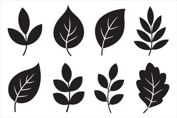 Fall Autumn Silhouette Bundle – Seasonal Leaves, Pumpkins & Acorns Vector Set