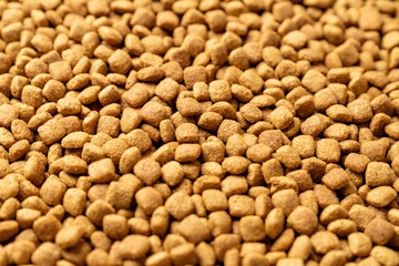 Food for animals background. Dry cat and dog food texture, pattern. Pet meal background close up. Dry food for pet dogs and cats. Dried pet food top view. Granules of good nutrition for dogs and cats.