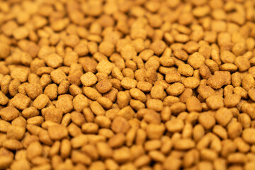 Food for animals background. Dry cat and dog food texture, pattern. Pet meal background close up. Dry food for pet dogs and cats. Dried pet food top view. Granules of good nutrition for dogs and cats.