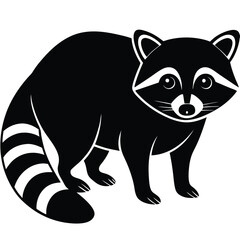 RACOON VECTOR