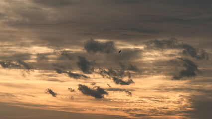 clouds under yellow lights at sunset