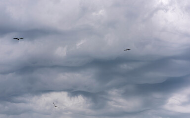 rain before the storm gray rain clouds gathering
