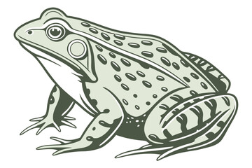 Stylized Frog Illustration with Natural Colors Depicting a Peaceful Amphibian in its Habitat with Green and Earthy Tones