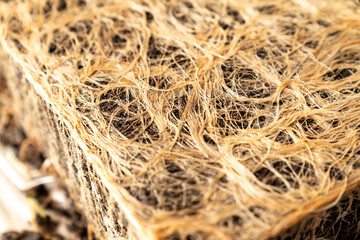 Close up of Healthy Grass Roots in Soil with Germinating Seeds, Agriculture and Gardening Concept, Natural Texture, Organic Farming, Eco Background for Sustainability and Environment Themes