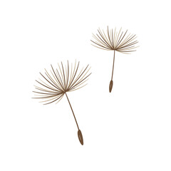 Simple dandelion seeds floating against white background. Vector illustration