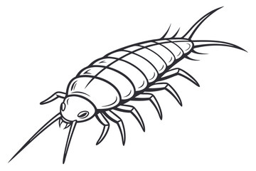 Detailed Line Art Depiction of a Centipede Featuring Defined Body Segments Legs and Antennae in a Black and White Composition