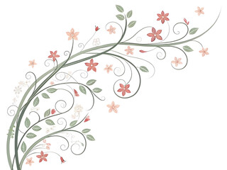 Elegant floral vine divider with delicate blossoms and leaves illustration