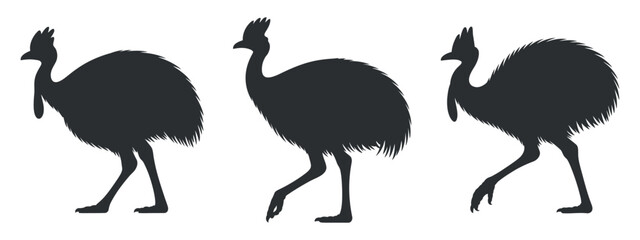 Cassowary Silhouette Collection Vector Illustration, Flightless Birds, Australian Wildlife, Tropical Rainforest
