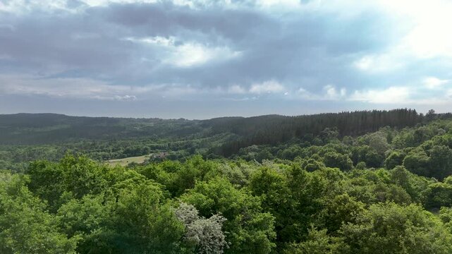 Drone, aerial shot. Forest Landscape. Beautiful view of  an oak and chestnut forest in spring, cloudy sky