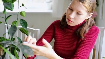 Teen Girl watering plants. Teenager female care for houseplants in a bright room. Teenager 14 years old takes care of potted house plants, waters the leaves. Caring plants, gardening at home. Greenery