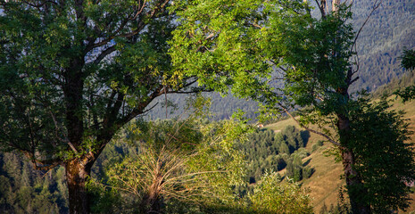 Landscape in Transylvania, Romania