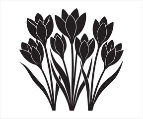 Elegant Black and White Crocus Flowers Graphic Illustration for Spring Designs and Creative Projects