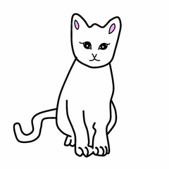 White cat
