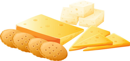 vector illustration of different types of cheese and biscuits
