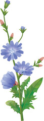 vector illustration of a flower plant