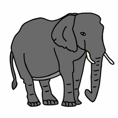 Fototapeta premium elephant isolated on white