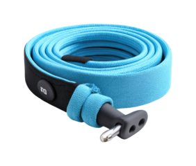 Dog leash for active pets adventures product review urban, isolated on transparent background, png