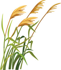 vector illustration of a plant