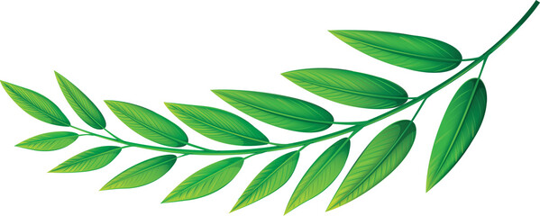 vector illustration of leaves
