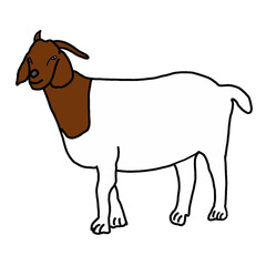 vector illustration of a goat