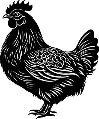 Domestic Rooster and Hen icon Illustration