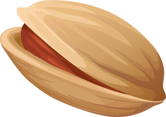 vector illustration of pistachio nut
