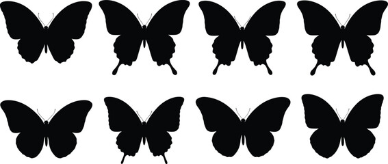 Butterfly silhouette, insect vector, black wing design, decorative butterfly art, nature graphic, flying insect clipart, elegant moth shape, symmetrical wing pattern, animal illustration