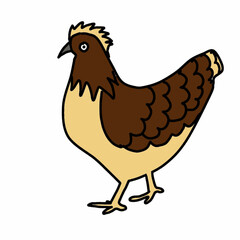 vector illustration of chicken