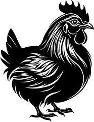 Domestic Rooster and Hen icon Illustration