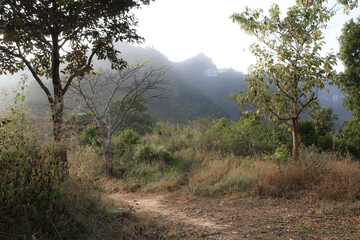 A misty hillside path winds through tall grass and trees, with distant buildings perched on the mountain slope.