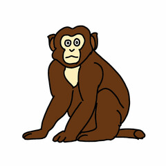 Obraz premium Sitting Monkey