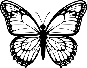 Minimal Butterfly Illustration