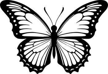 Minimal Butterfly Illustration
