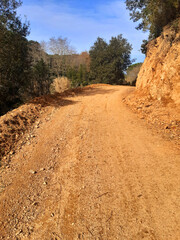 Forest trail. Dirt trail in the woods. Unpaved mountain road. Hiking and adventure sports. Dirt road perspective.
