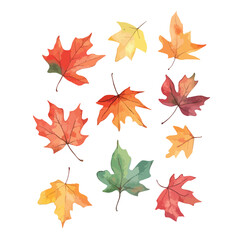 Fototapeta premium Watercolor Autumnal Leaves Displaying Vibrant Hues and Delicate Vein Details