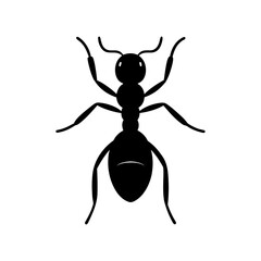 Simple black ant silhouette illustration on a white background, insect, wildlife, animal, fauna, isolated design element, natural world
