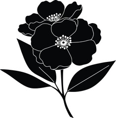 Elegant Black and White Flower Illustration with Leaves on transparent background