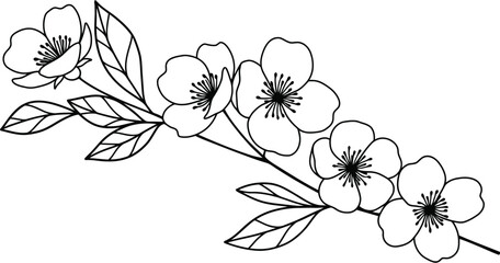 Elegant Floral Branch Line Art Illustration on transparent background © Pvect02