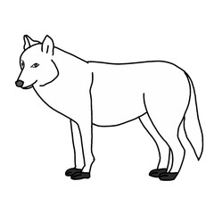 vector illustration of a wolf